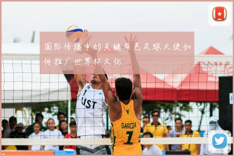 国际传播中的关键角色足球大使如何推广世界杯文化