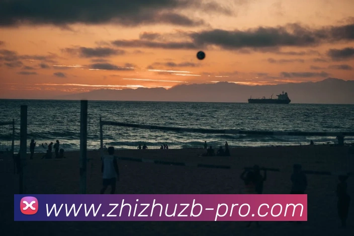 App Interface Preview