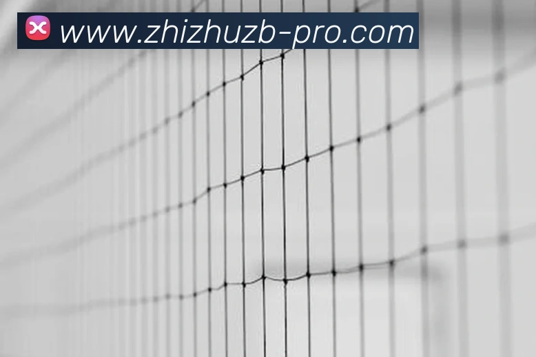 蜘蛛直播:引领数字化竞技内容传播与高清交互的新标准APP 封面图